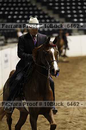 Proof 10buck_6462