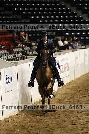 Proof 10buck_6463
