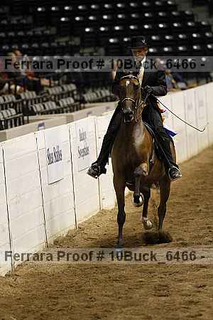 Proof 10buck_6466