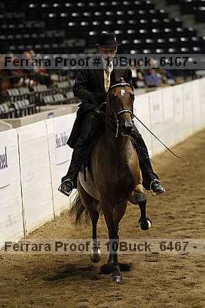 Proof 10buck_6467