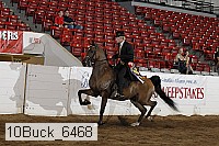 10buck_6468 proof