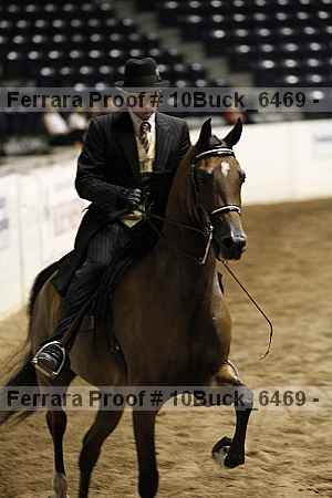 Proof 10buck_6469
