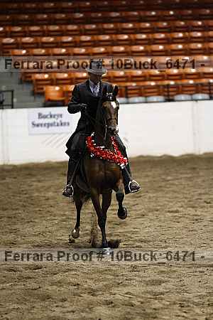 Proof 10buck_6471