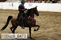 10buck_6473 proof