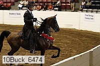 10buck_6474 proof