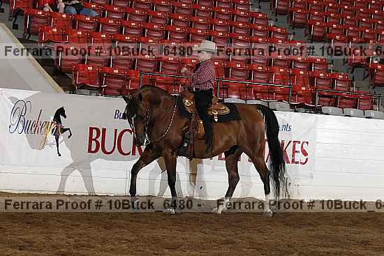 Proof 10buck_6480