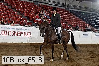 10buck_6518 proof