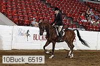 10buck_6519 proof