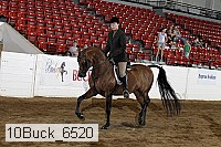 10buck_6520 proof