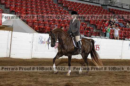 Proof 10buck_6522