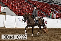 10buck_6522 proof