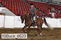 10buck_6523 proof