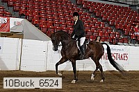 10buck_6524 proof