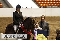 10buck_6528 proof