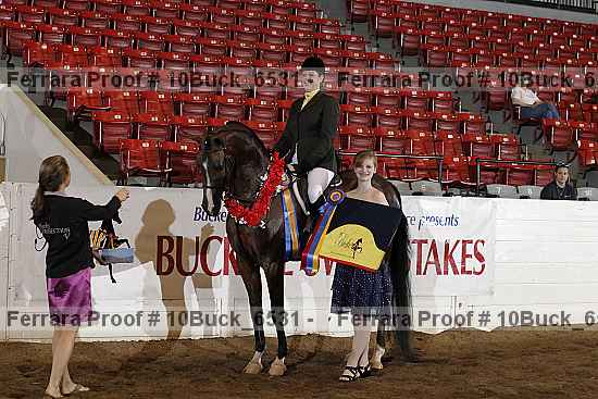 Proof 10buck_6531