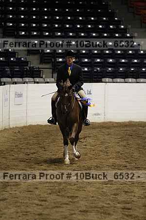 Proof 10buck_6532