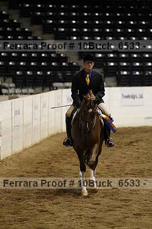 Proof 10buck_6533