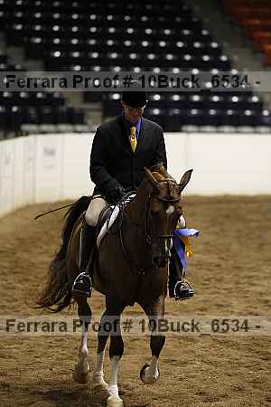 Proof 10buck_6534