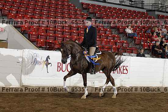 Proof 10buck_6535