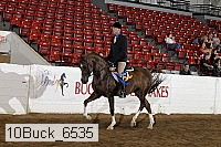 10buck_6535 proof