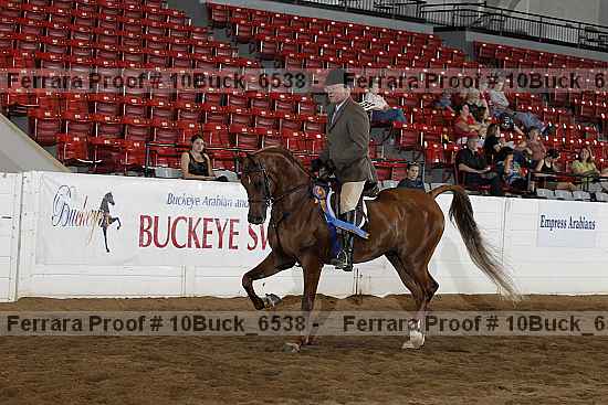 Proof 10buck_6538