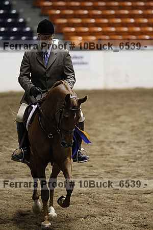 Proof 10buck_6539