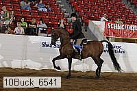 10buck_6541 proof