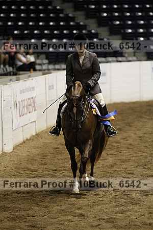 Proof 10buck_6542