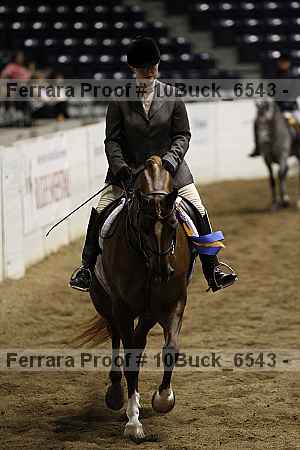 Proof 10buck_6543