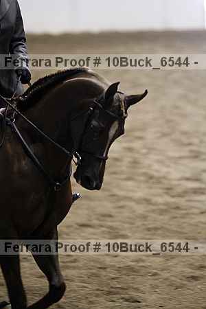 Proof 10buck_6544