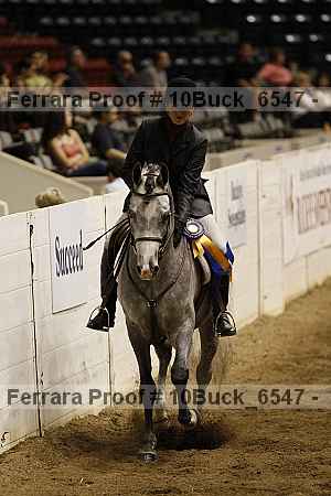 Proof 10buck_6547