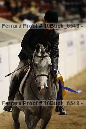 Proof 10buck_6548