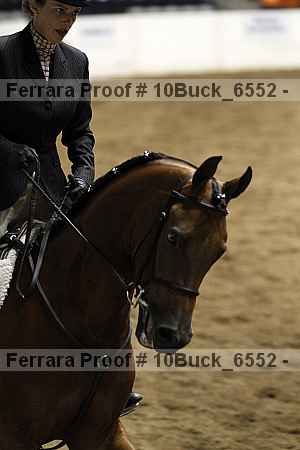 Proof 10buck_6552