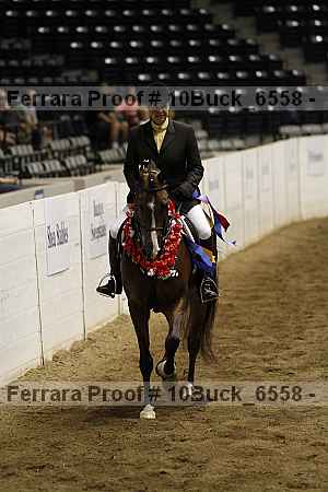 Proof 10buck_6558