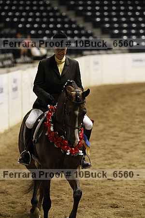 Proof 10buck_6560