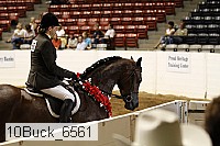 10buck_6561 proof
