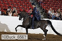 10buck_6563 proof