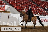 10buck_6565 proof