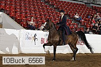10buck_6566 proof