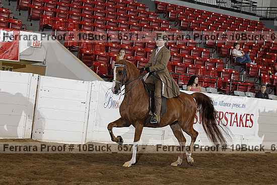 Proof 10buck_6571