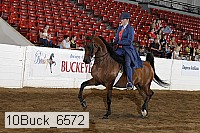 10buck_6572 proof