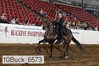 10buck_6573 proof