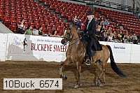 10buck_6574 proof