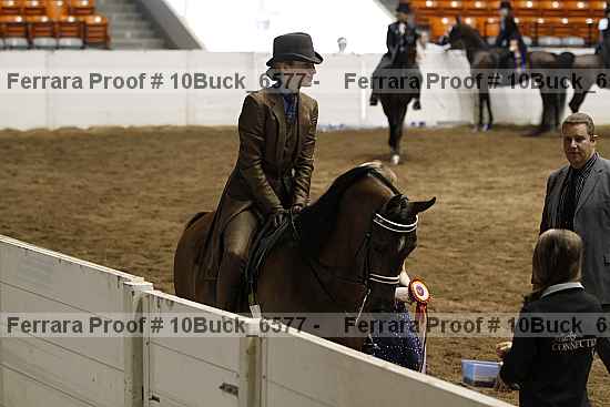Proof 10buck_6577