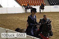 10buck_6583 proof