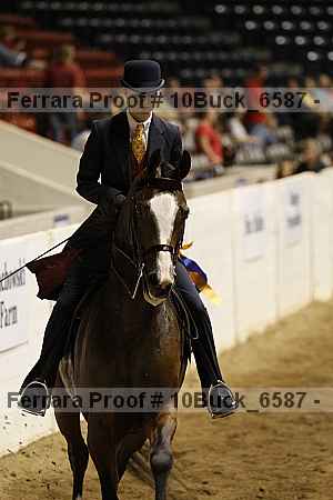 Proof 10buck_6587