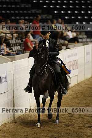 Proof 10buck_6590