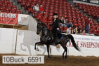 10buck_6591 proof