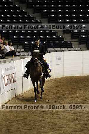Proof 10buck_6593