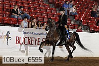 10buck_6595 proof